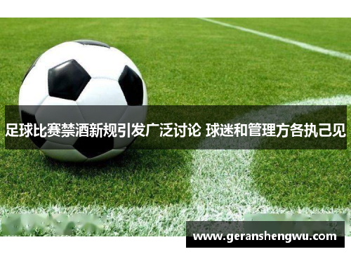 足球比赛禁酒新规引发广泛讨论 球迷和管理方各执己见