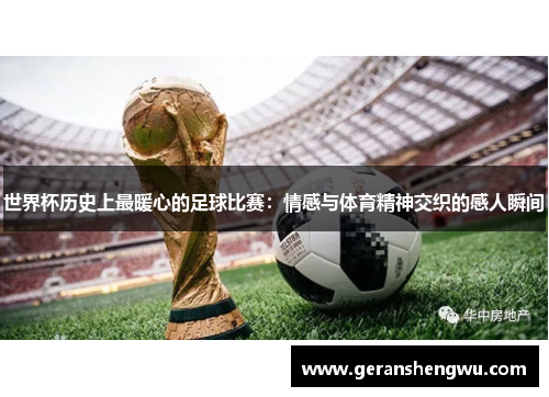 世界杯历史上最暖心的足球比赛：情感与体育精神交织的感人瞬间