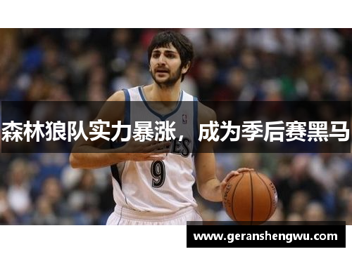 森林狼队实力暴涨，成为季后赛黑马