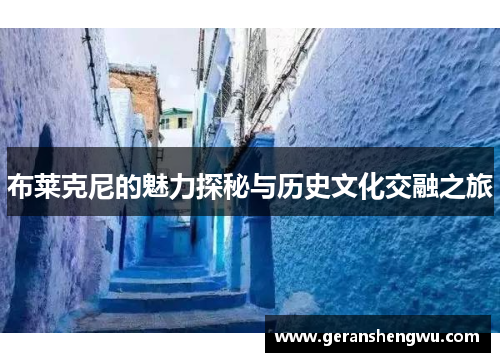 布莱克尼的魅力探秘与历史文化交融之旅