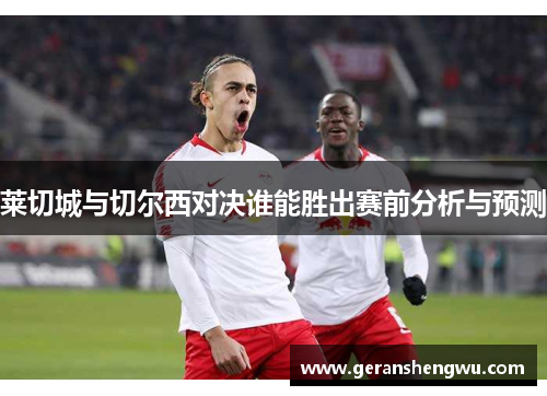 莱切城与切尔西对决谁能胜出赛前分析与预测