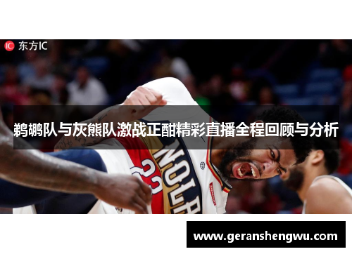 鹈鹕队与灰熊队激战正酣精彩直播全程回顾与分析