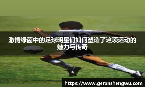 激情绿茵中的足球明星们如何塑造了这项运动的魅力与传奇
